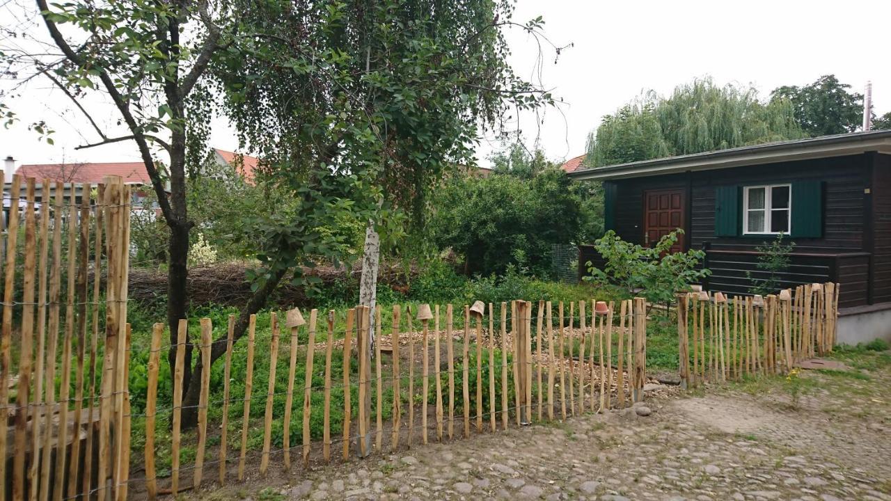 Apartmán Huette Mit Herz Im Harz Meisdorf Exteriér fotografie