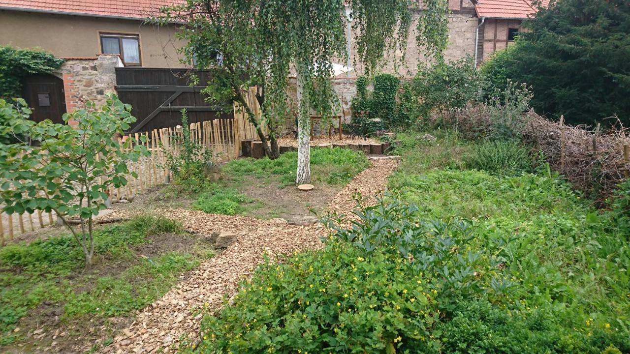 Apartmán Huette Mit Herz Im Harz Meisdorf Exteriér fotografie